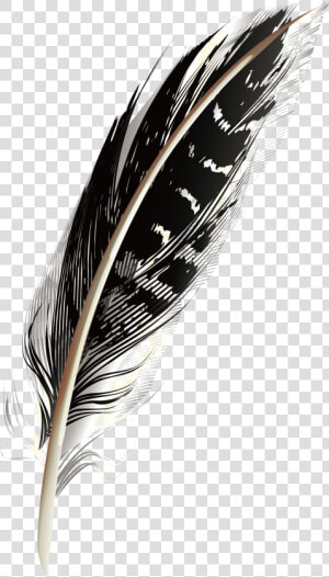 A Black Pattern Feathers Png Download   Black Feather Png  Transparent Png