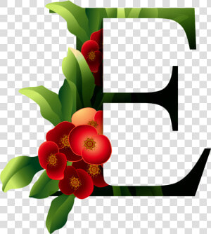 Lettere Alfabeto Con Un Fiore  HD Png Download