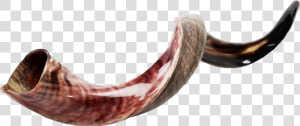 Shofar Png Photos   Shofar Imagenes  Transparent Png