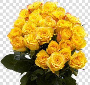 24 Yellow Roses Fresh Flower Bouquets  HD Png Download