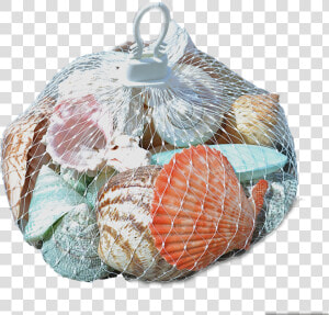 2 Assorted Polished Shells In A White Plastic Net Hanger   White Plastic Mesh Bag  HD Png Download