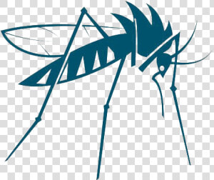 Mosquito Insect Vector Bed Bug   Mosquito Vector Png  Transparent Png