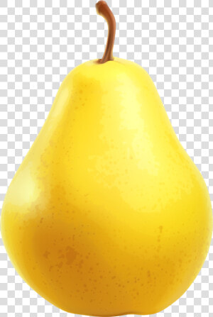 Yellow Pear Png Clipart   Pear Clipart Png  Transparent Png