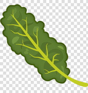 Cartooned Image Of Kale   Kale Clipart Png  Transparent Png