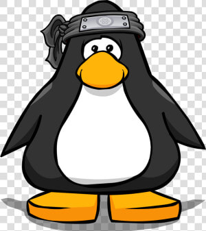 Club Penguin Wiki   Club Penguin Green Penguin  HD Png Download