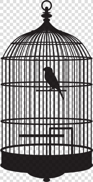 Bird In A Cage Bird In Cage Png   Bird In Cage Gif  Transparent Png