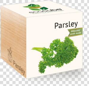 Parsley   Packaging Of Rosemary  HD Png Download