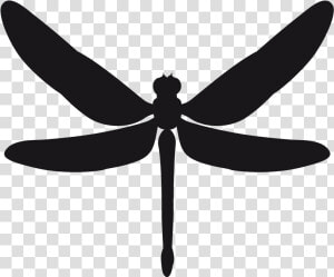 Clip Art Dragonfly Silhouette Images   Трафареты Для Стен Стрекоза  HD Png Download