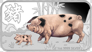 2019 1oz Silver Proof Coloured Lunar Pig Rectangle   Coin  HD Png Download