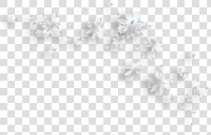 White Flowers Png   White Flowers Clipart Png  Transparent Png