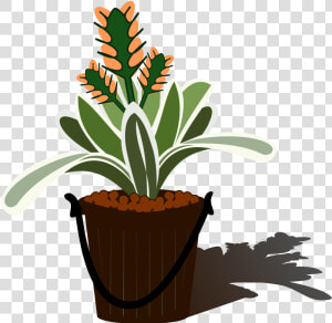 Bromelia 09f   Pot Bunga Vektor Png  Transparent Png