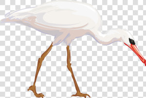 Clipart Animals Crane   Crane Bird Hd Clipart  HD Png Download