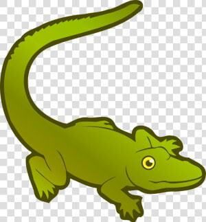 Alligator Png Pic   الزواحف كليب ارت  Transparent Png