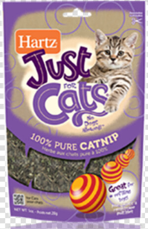 Catnip Just For Cats  HD Png Download