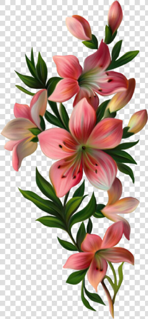  mq  pink  lily  flowers  flower  garden  nature   Flowers With Leaves Png  Transparent Png