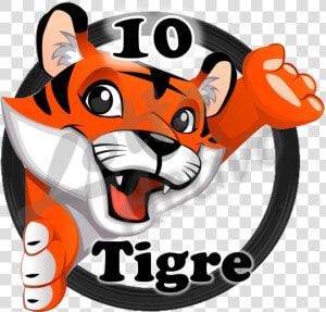 Tigre Png  Transparent Png