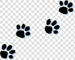 Paw Prints Clipart Cat Paw Print Clipart Kid Clipartix   Paw Prints Clipart Transparent  HD Png Download