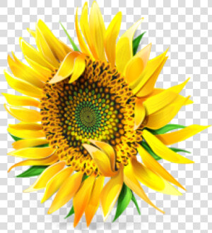 Sunflower Png Free Download   Pixel Sunflower  Transparent Png