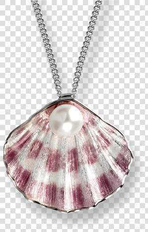 Nicole Barr Purple Shell   Shell Necklace Transparent Background  HD Png Download