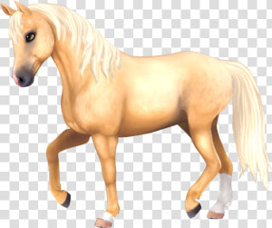 Star Stable Horse Png  Transparent Png