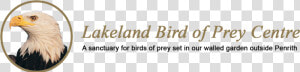 Lakeland Bird Of Prey Centre  HD Png Download