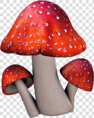 Edible Mushroom   Clipart Toadstool  HD Png Download