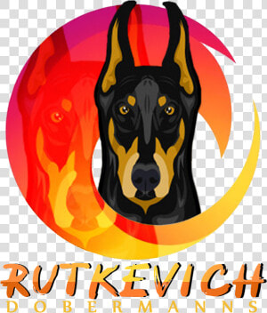 Logo transparent   Dobermann  HD Png Download