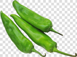 Transparent Green Chili Png   Green Chilli Hd Png  Png Download