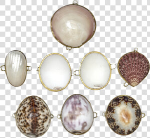 Coin Purses seashell Assorted   Gemstone  HD Png Download