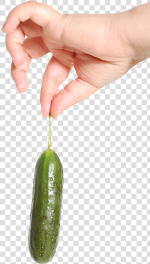 Pngpix   Hand Holding Pickle  Transparent Png