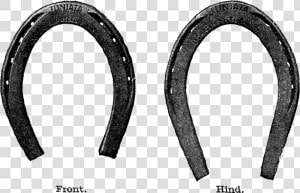 Horse Shoe Free Horseshoe Clip Art Images Clipartfest   Circle  HD Png Download