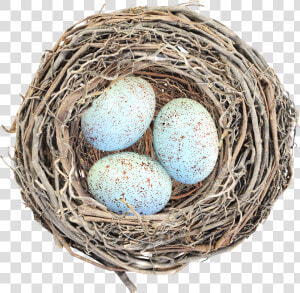 Nest Png   Egg In The Nest Clipart  Transparent Png