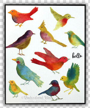 Transparent Watercolor Bird Png   European Robin  Png Download