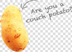 Are You A Couch Potato   Russet Burbank Potato  HD Png Download