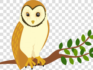 Bird Of Prey Clipart Barn Owl   Bird Perch Clip Art  HD Png Download