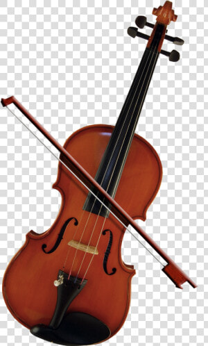 Bass Violin Cello Violone Viola   Violin Png  Transparent Png