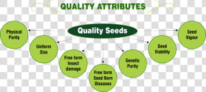 Quality Attributes   Png   Attributes Of Quality  Transparent Png