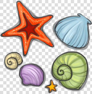 Svg Royalty Free Library Seashell Starfish Snail Clip   Dibujo De Estrella Caracoles De Mar  HD Png Download