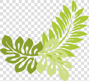 Transparent Vector Leaves Png   Leaves Border Design Transparent  Png Download