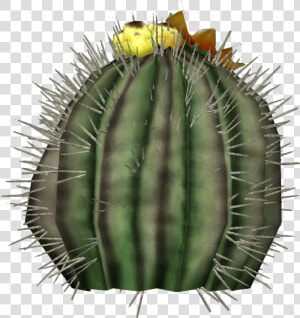 Bauble Cactus Monster Hunter World   Cactus  HD Png Download