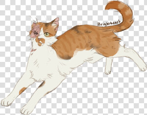 Tell Me Whatever You Want  But Brightheart Should Have   Drawing Calico Warrior Cat  HD Png Download