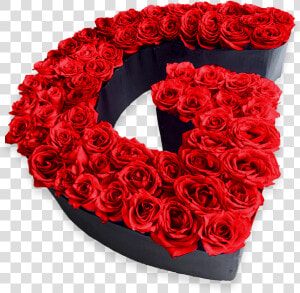 Quiero Hablarte De Mi Amor Pero No Logro Sacar Esas   Letras Con Rosas Rojas  HD Png Download