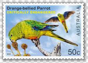 Australia Endangered Animals Stamps  HD Png Download