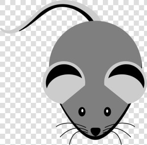 Computer Mice Clip Art  HD Png Download