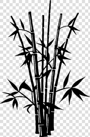 Bamboo Drawing Silhouette   Transparent Bamboo Silhouette Png  Png Download