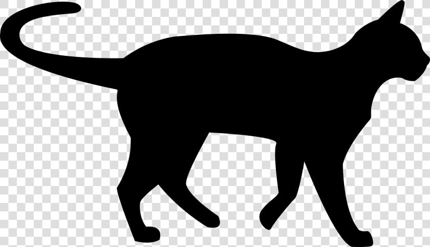 Transparent Black Cat Clipart   Transparent Background Black Cat Clipart  HD Png DownloadTransparent PNG