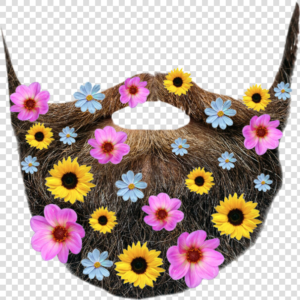  beard  flower  freetoedit  art  interesting  jordansnice01   Crochet  HD Png DownloadTransparent PNG