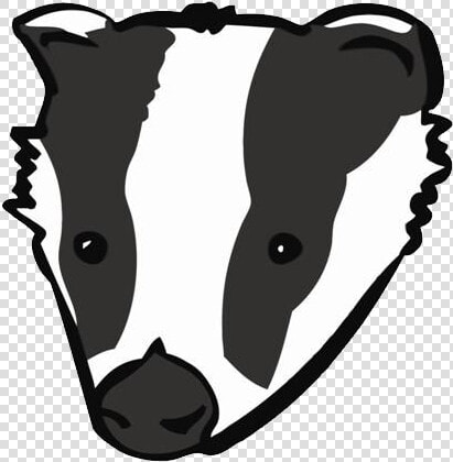 Badger Png   Cartoon Badger Drawing Transparent  Png DownloadTransparent PNG