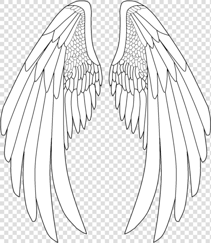 Elegant Drawing Angel Transparent   Anime Angel Wings Drawing  HD Png DownloadTransparent PNG