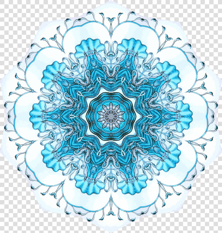 Blue turquoise flower   Circle  HD Png DownloadTransparent PNG